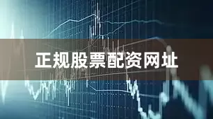 正规股票配资网址