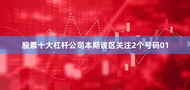 股票十大杠杆公司本期该区关注2个号码01