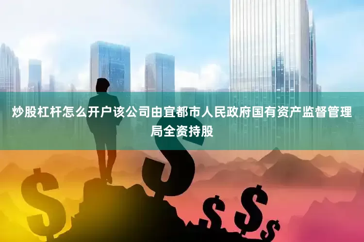 炒股杠杆怎么开户该公司由宜都市人民政府国有资产监督管理局全资持股